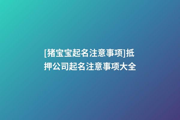 [猪宝宝起名注意事项]抵押公司起名注意事项大全-第1张-公司起名-玄机派